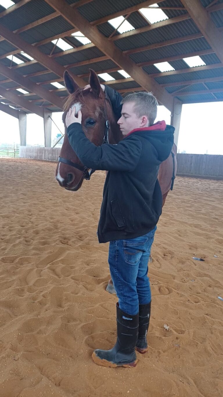 Kevin Auroy, ostéopathe animalier, réalisant une séance d'ostéopathie sur un cheval dans un cadre extérieur ou une écurie.