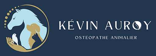 Ostéopathie Animale - Kévin Auroy