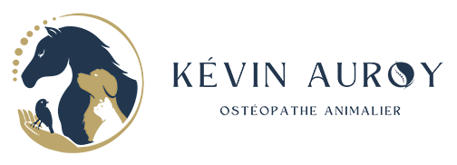 Ostéopathie Animale - Kévin Auroy